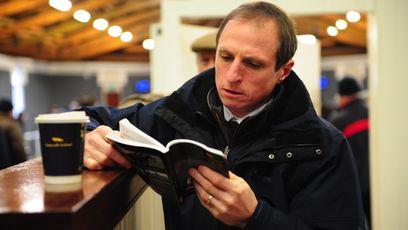 'We think they're a couple of special mares' - Tattersalls Ireland team looks forward to select PTP & HIT sale