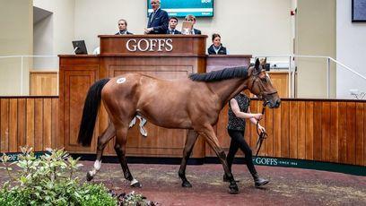 £135,000 Jukebox Jury relation to Master Minded heads selective Goffs Spring Store Sale trade