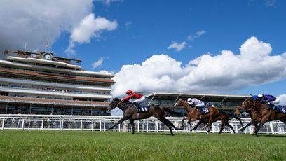 Newbury highlights challenges facing racing industry despite rise in revenues in 2023