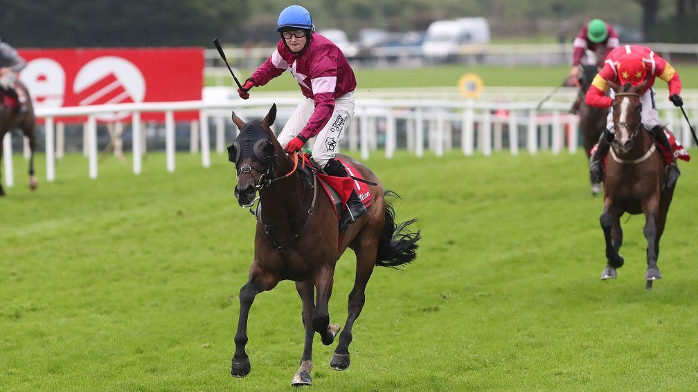 Clarcam: made all to win the Plate for Gordon Elliott and Mark Enright 12 months ago