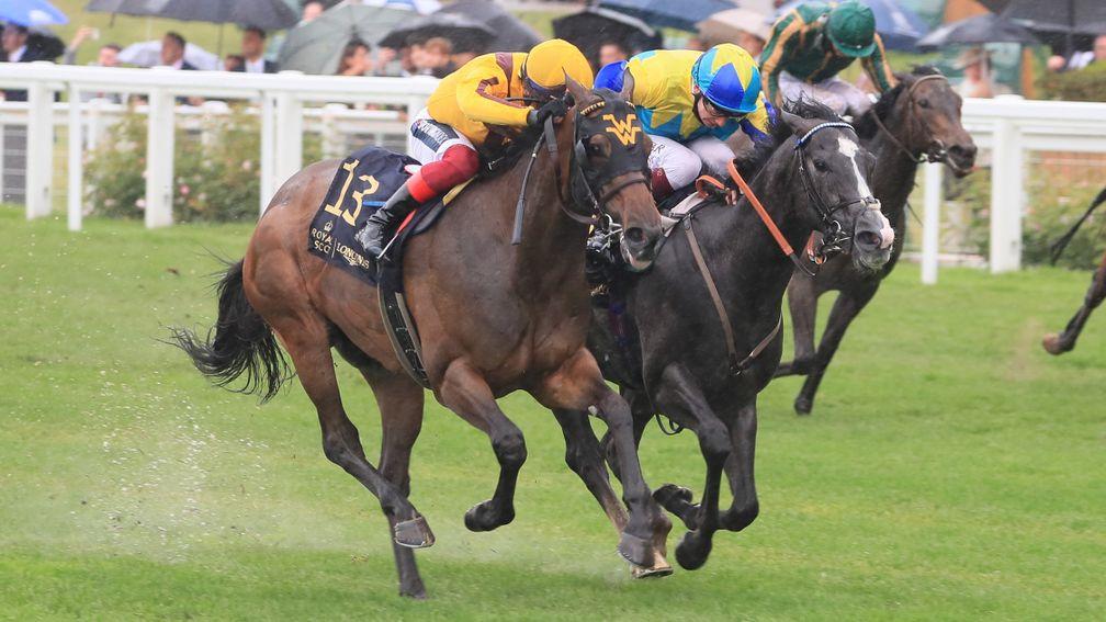 Commonwealth Cup: Campanelle (left) won the Group 1 in the stewards' room on Friday