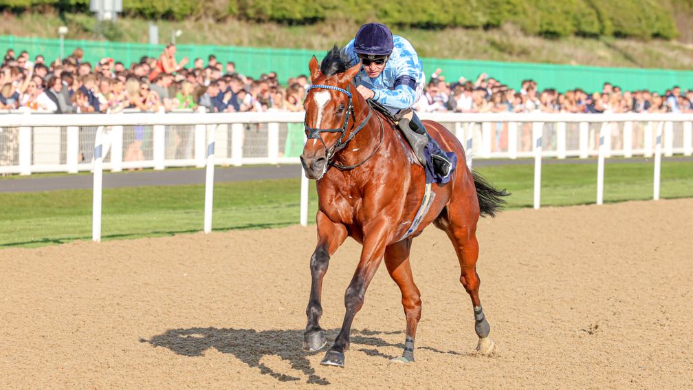 Lysander: the plan is to head to Goodwood on Friday