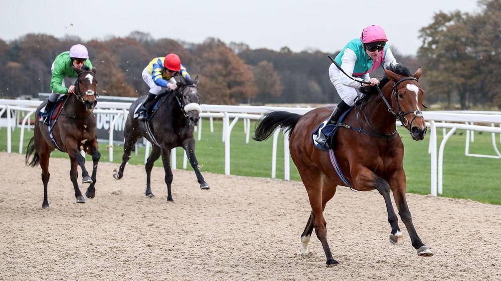 Mighty mare Enable winning on Newcastle's Tapeta strip in 2016