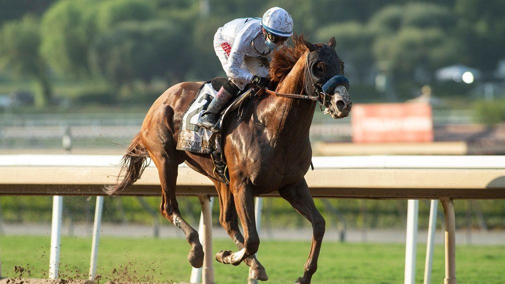 Improbable: one of three Breeders' Cup Classic runners for Bob Baffert