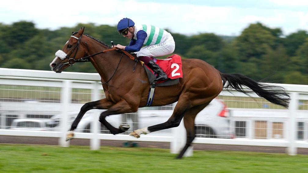 Coltrane: disqualified from a race at Newmarket in August 2020