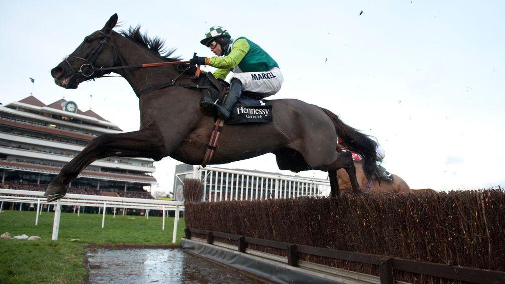 Denman: a Gold Cup hero and dual winner of the Hennessy under top weight