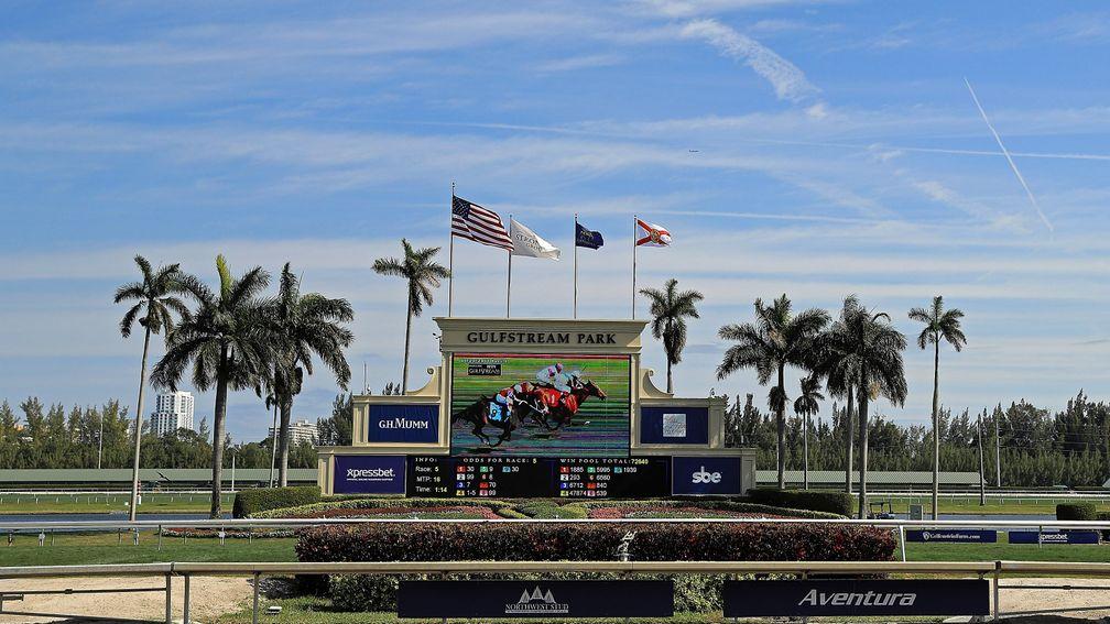 Gulfstream Park : track hosted some classy action on Saturday