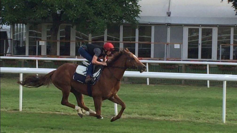 Redkirk Warrior and Regan Bayliss on the July course