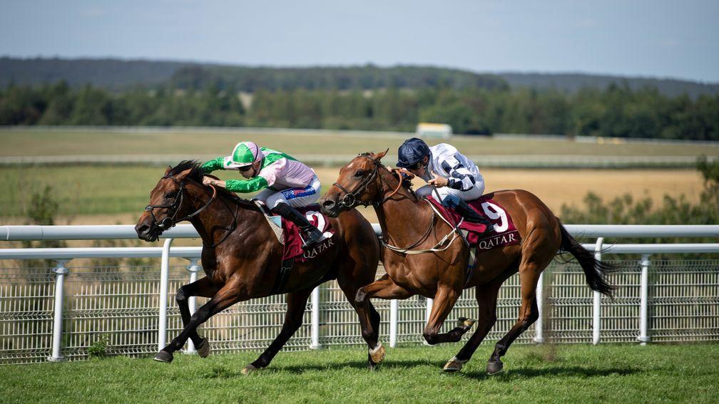Duke Of Hazzard (left): registered a first Listed success at Deauville