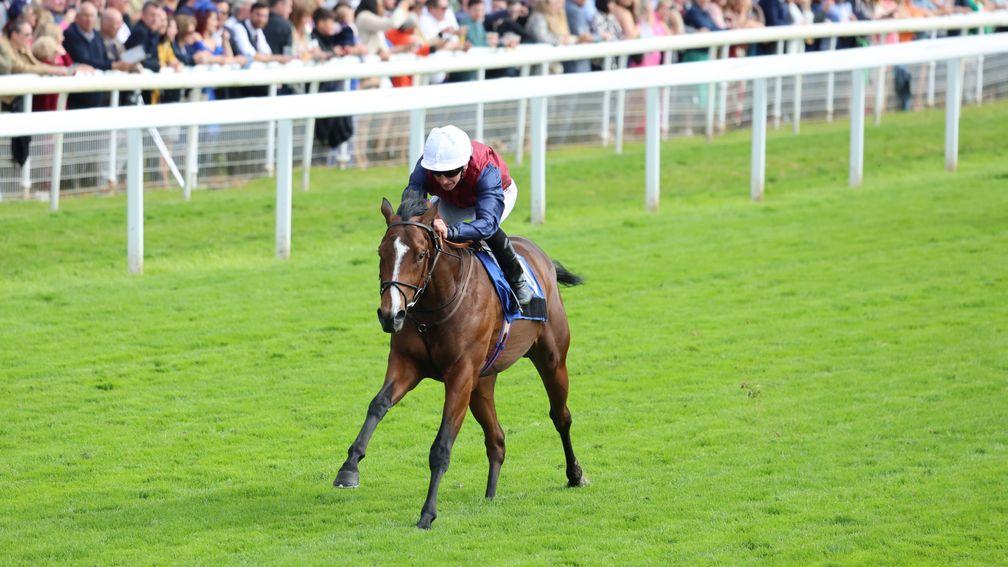 Bradsell came home in isolation on his racecourse debut at York