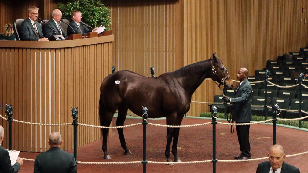 Xavier Bloodstock International went to $260,000 for Aqua Regia who is in foal to Dialed In
