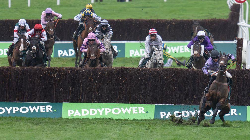 Il Ridoto (pink) ran well behind stablemate Stage Star, who narrowly avoided coming down at the last