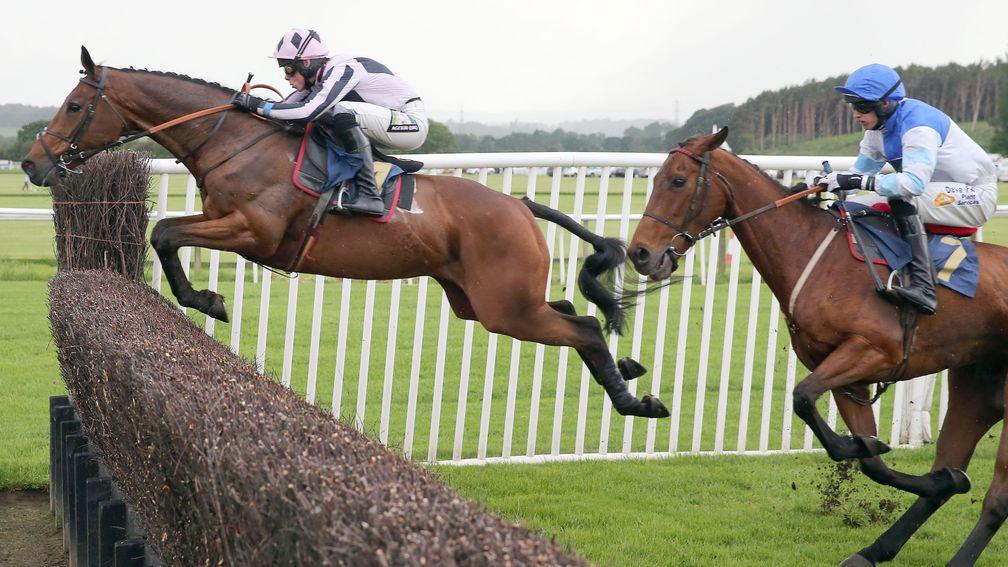 Creevytennant in familiar pose at Perth, jumping out in front