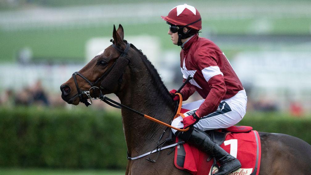 Tiger Roll: will warm up for Cheltenham's Cross-Country chase in the Boyne Hurdle