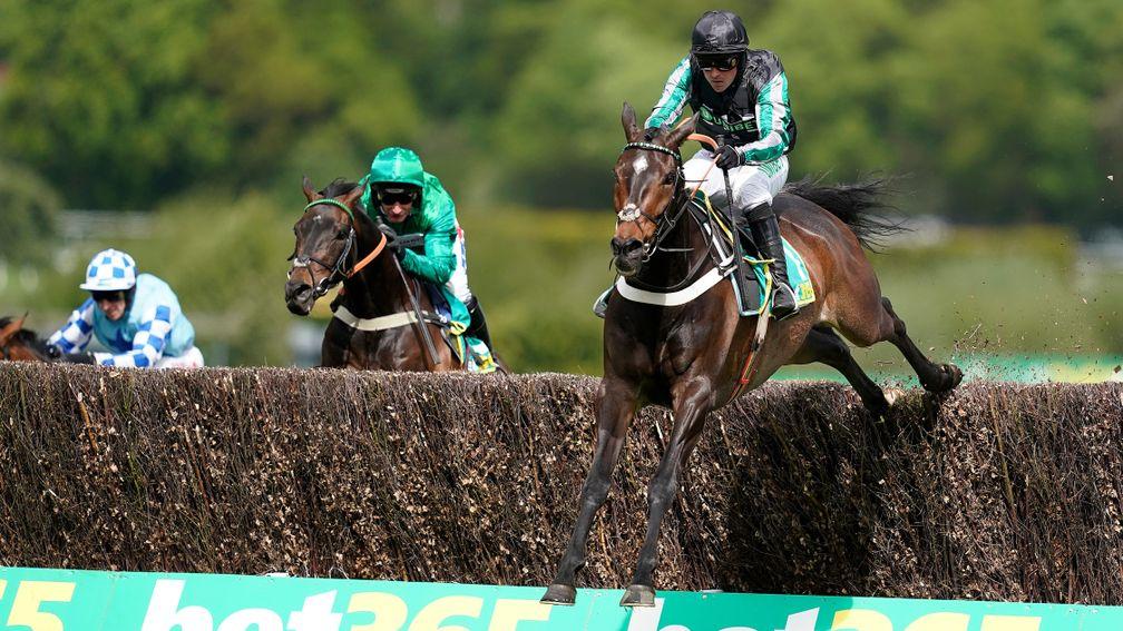 Altior: record-breaking star lit up the racecourse on numerous occasions during his career