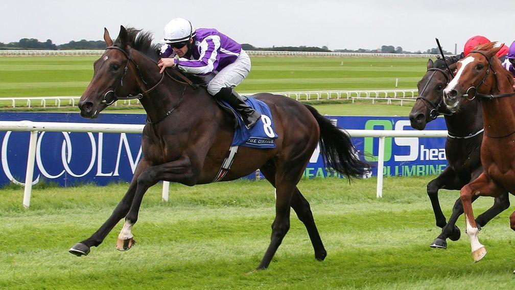 High Definition: will be freshened up for the Autumn after his Irish Derby disappointment