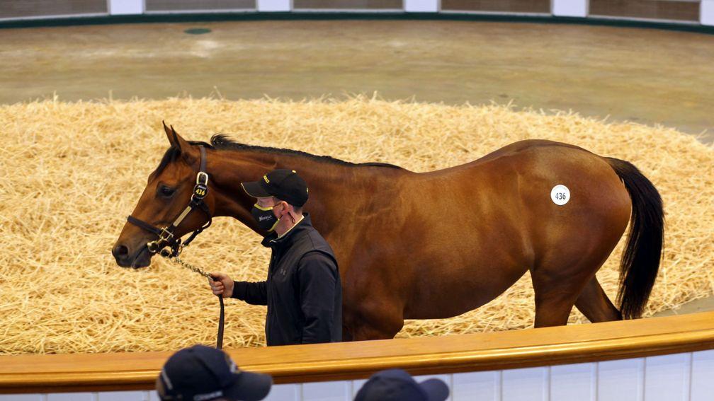 Top lot: the Galileo filly out of Shastye sells to MV Magnier for 3,400,000gns