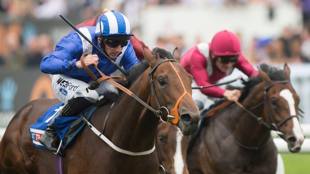 Estidhkaar (left) winning the Champagne Stakes in his racecourse pomp