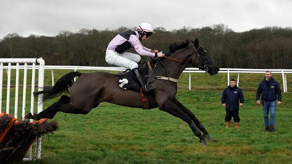 Ar Mest: withdrawn from County Hurdle at Cheltenham on Friday