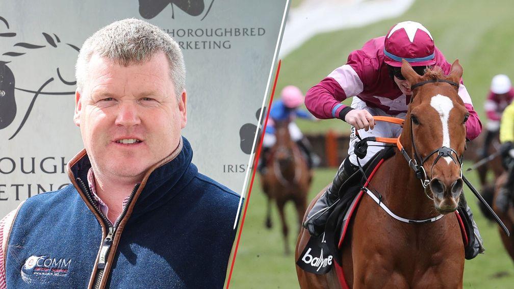 Gordon Elliott on Samcro: 'If he ends up going back to run on the racecourse it will be in the colours of Gigginstown'