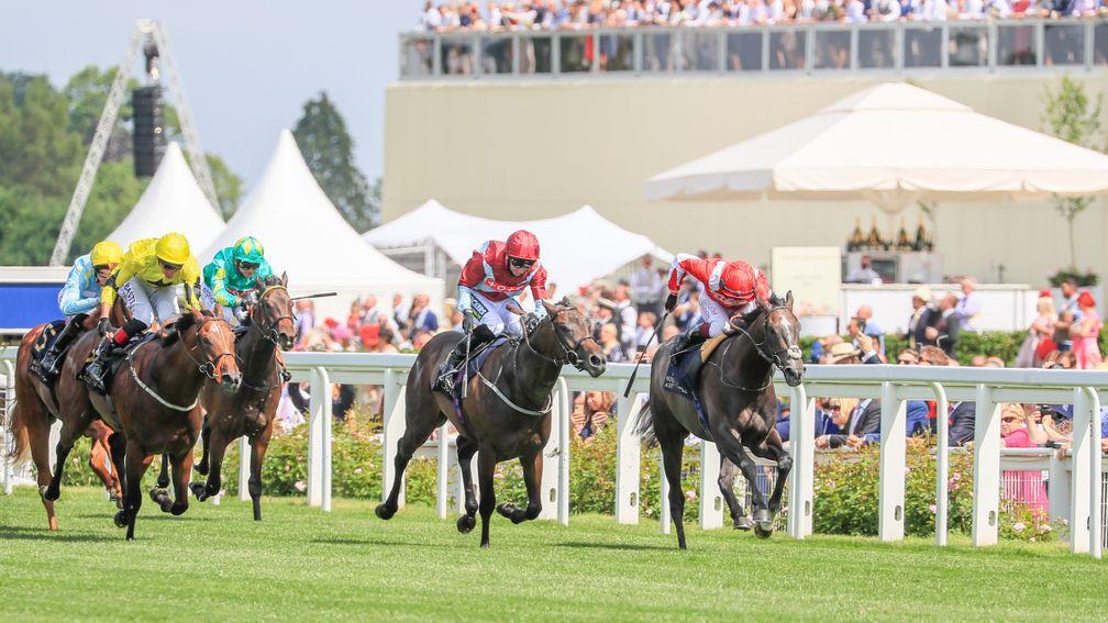 Caturra (left) finishes seventh in the Coventry Stakes at Royal Ascot
