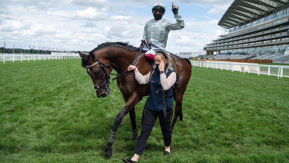 St James's Palace Stakes winner Palace Pier is one of the year's most exciting talents