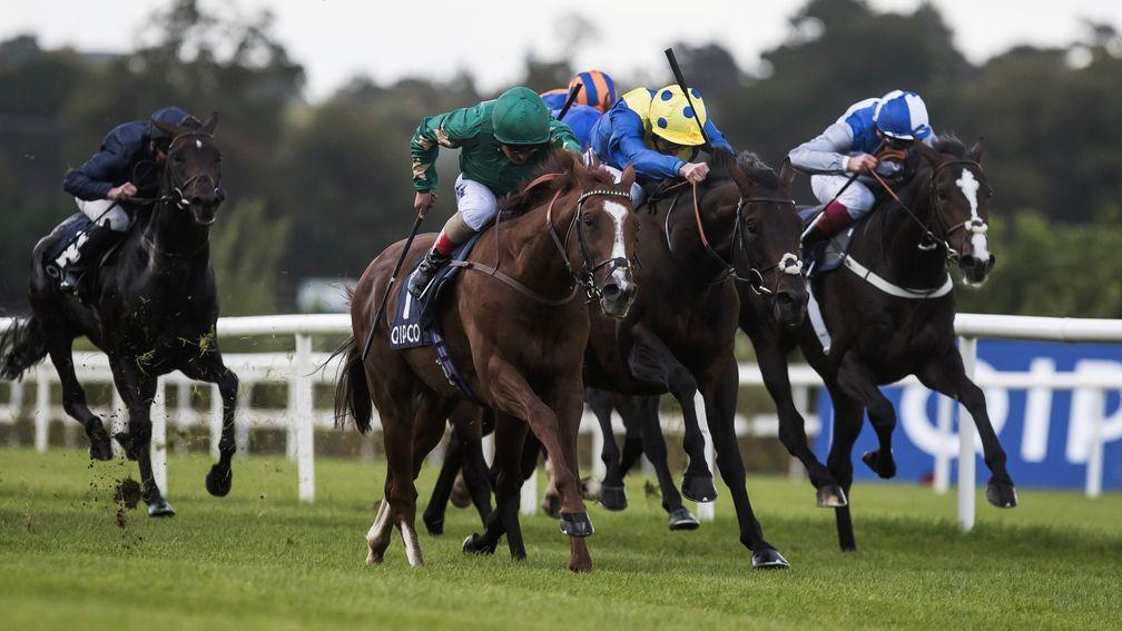 Decorated Knight and Andrea Atzeni swoop to conquer at Leopardstown
