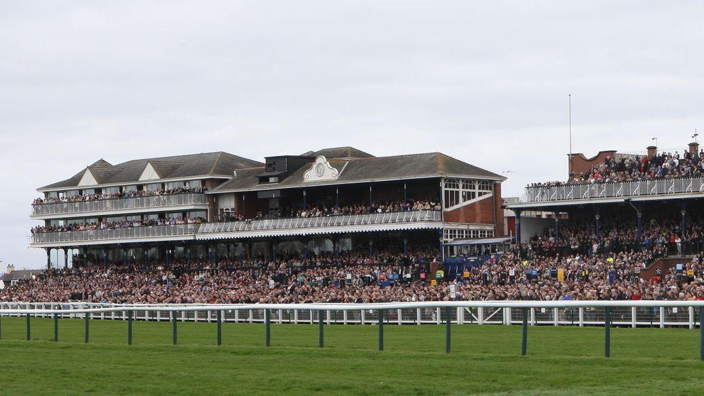 Ayr racecourse: packed for the Scottish Grand National last April