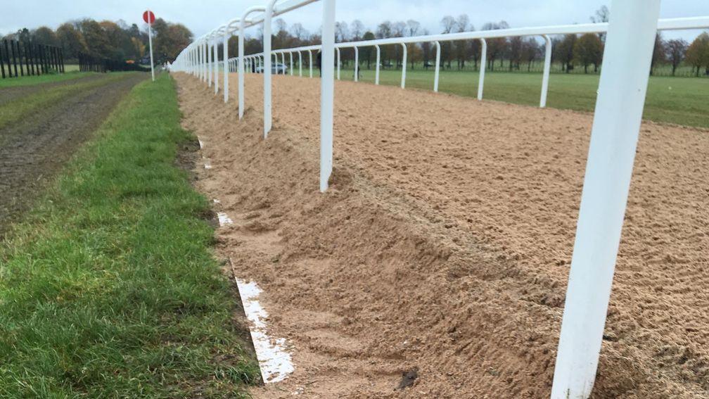 The temporary City Racing surface was tested in Newmarket last year