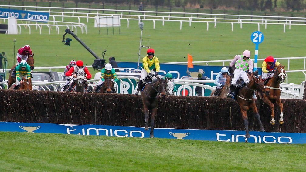 Sizing John: the 2017 Gold Cup hero will go straight to Cheltenham without another run