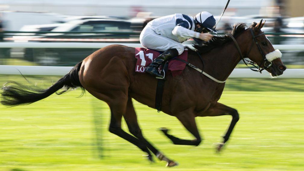 Glass Slippers: will not run in the King's Stand Stakes