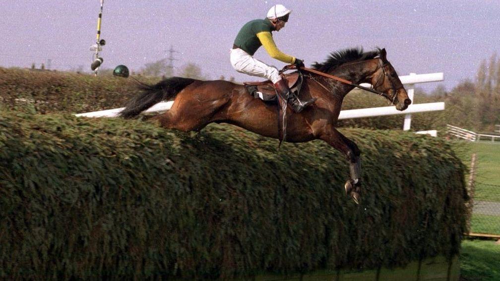 Dublin Flyer and Brendan Powell clear one of the Grand National fences in the 1995 John Hughes Memorial Chase