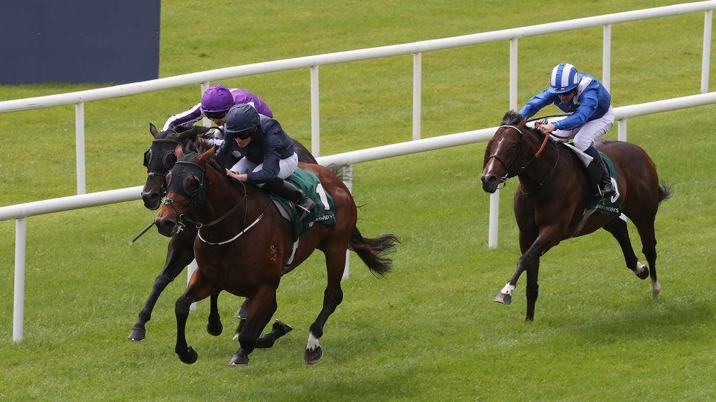 Merchant Navy: likely to serve it up to Harry Angel in the Diamond Jubilee Stakes