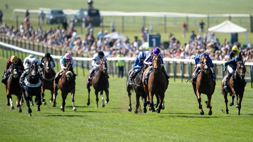 Saxon Warrior (3rd right) wins the 2,000 Guineas from Tip Two Win (left), Masar (second right) and Elarqam (behind Saxon Warrior)