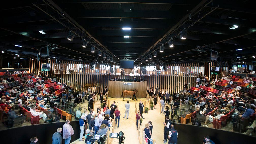 Arqana is set to stage its breeze-up event in early May