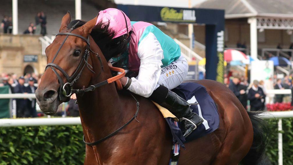 Sangarius: cut to around 10-1 for the 2,000 Guineas