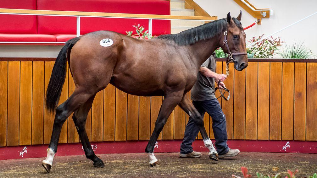 The son of Dandy Man bought by Paul Fretwell for £39,000