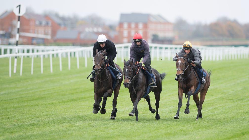 Buveur D'Air (left) with Charli Parcs (red cap) and Divin Bere