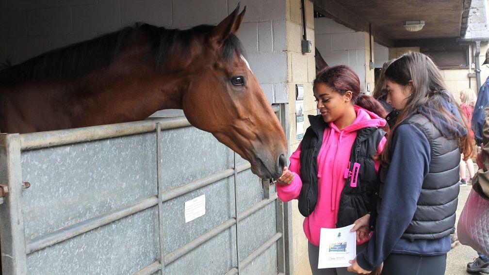 Youngsters get up close to the horses at Adlestrop Stables