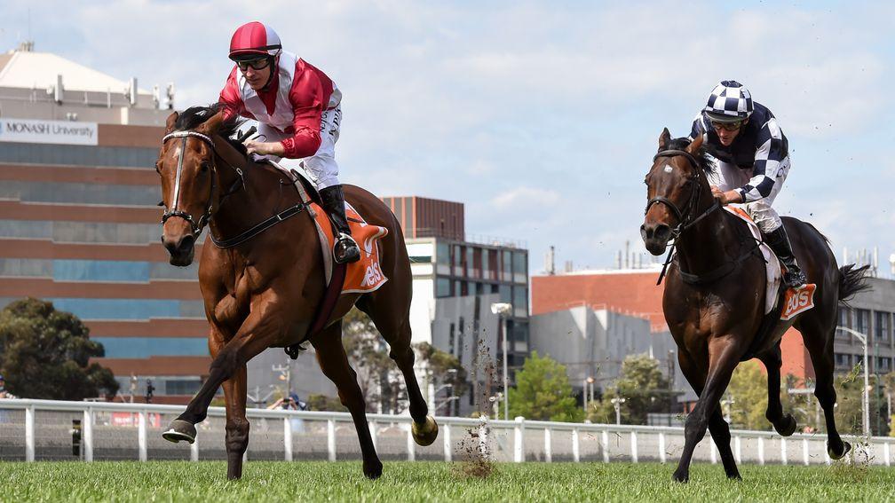 Arcadia Queen (left): gets the better of Russian Camelot at Caulfield