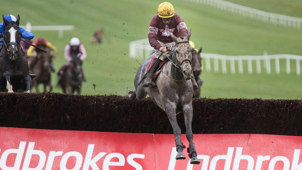 Tout Est Permis goes up 12lb for his convincing success in Sunday's Troytown Chase