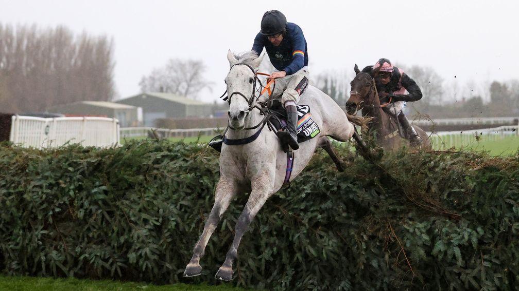 Snow Leopardess: favourite for Saturday's Grand National with some firms