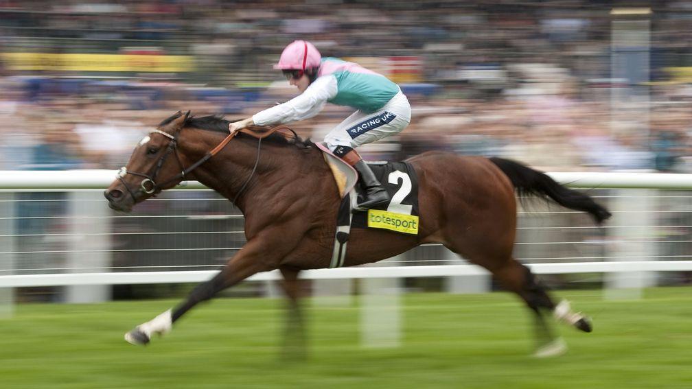 Frankel: landed the Greenham before an astonishing display in the 2,000 Guineas