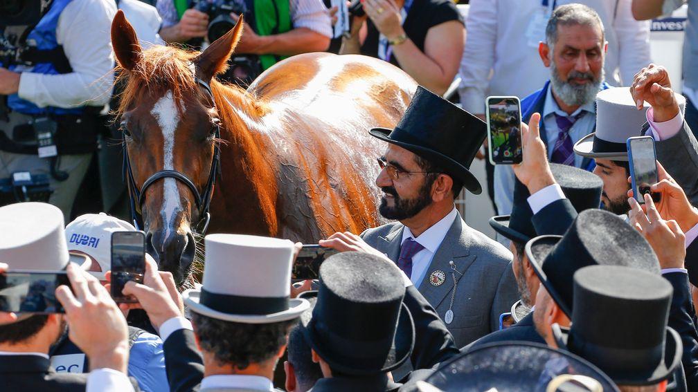 Masar - with owner and breeder Sheikh Mohammed - has Lodge Park Stud's totemic mares Park Express and Park Appeal in his pedigree