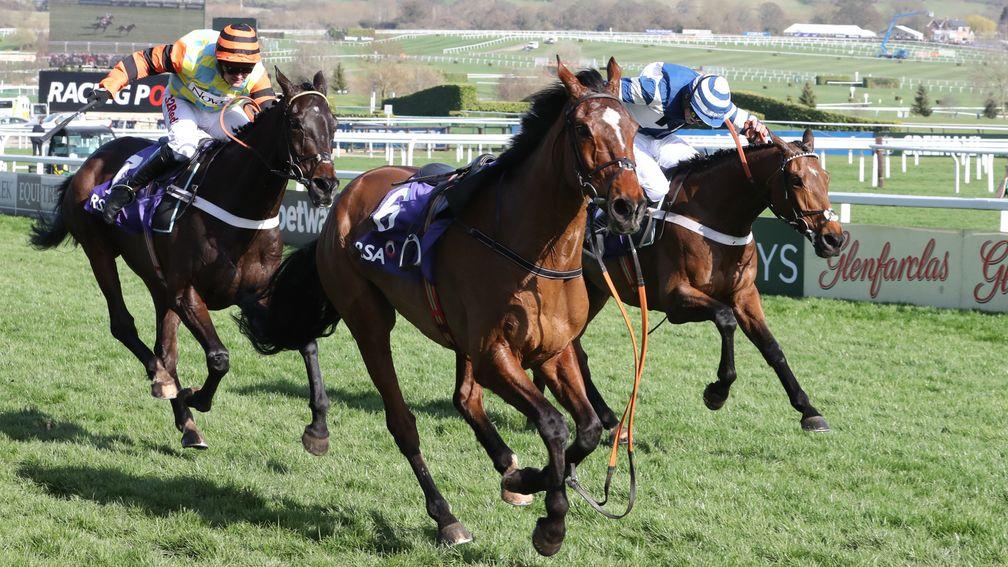 Might Bite (left) rallies to beat Whisper in last year's thrilling RSA Chase at Cheltenham