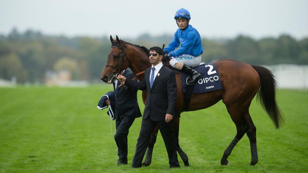 Farhh: the highest-rated son of Pivotal after the Champion Stakes at Ascot