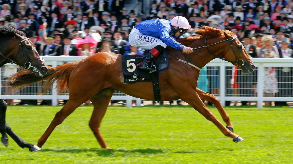 Mustajeeb: wins the Group 3 Jersey Stakes at Royal Ascot in 2014