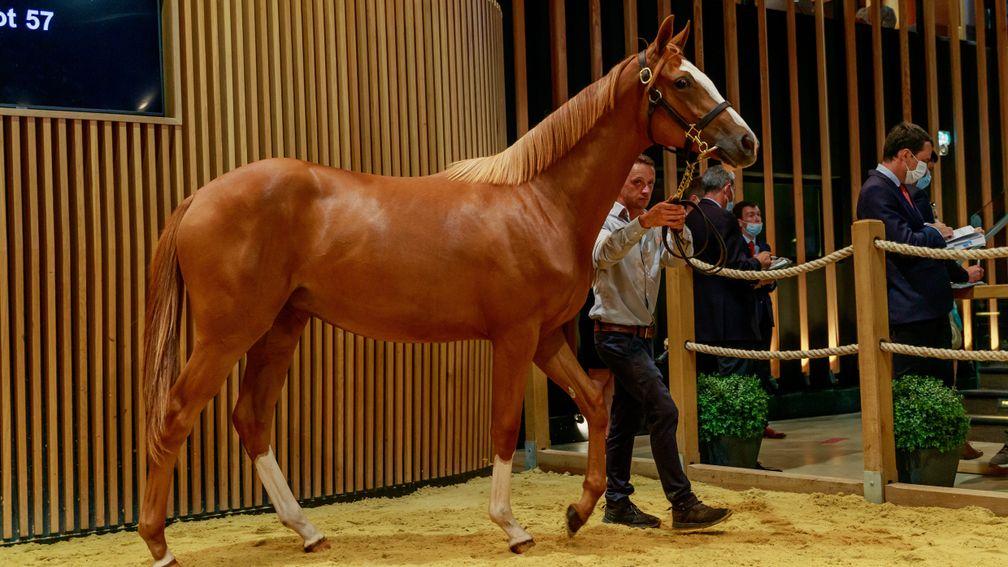 Ecurie des Monceaux's Galileo half-sister to Wind Chimes sells to David Redvers for €600,000