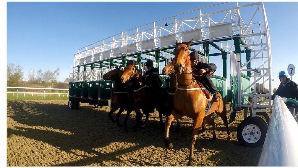 A barrier trial starts at Lingfield