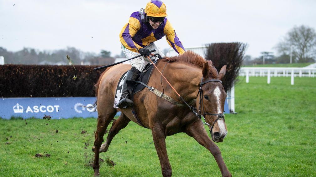 Copperhead stays on under Jonjo O'Neill jnr to land the Reynoldstown Novices' Chase